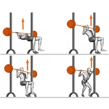 SMITH MACHINE LINEAR BEARINGS – ERŐKERET -Panatta Fitevo