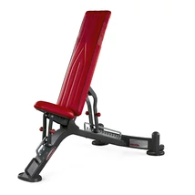 FULLY ADJUSTABLE BENCH – ÁLLÍTHATÓ PAD -Panatta Freeweight Hp