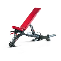 FULLY ADJUSTABLE BENCH KIT FOR 1HP234A – ÁLLÍTHATÓ PAD -Panatta Freeweight Hp