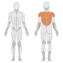 LAT MACHINE CONVERGENT – HÁTLEHÚZÓ GÉP -Panatta Freeweight Hp