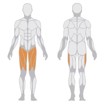 LEG EXTENSION – COMBFESZÍTŐ GÉP -Panatta Freeweight Hp