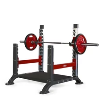 POWER PLATFORM -Panatta Freeweight Hp