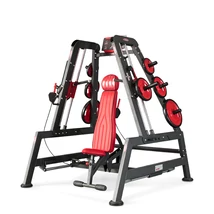 POWER SMITH MACHINE DUAL SYSTEM UPPER -Panatta Freeweight Hp