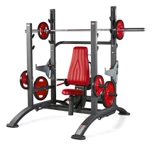 POWER TOWER -Panatta Freeweight Hp