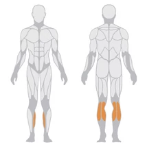 SEATED CALF – ÜLŐ VÁDLIGÉP -Panatta Freeweight Hp