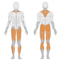 SQUAT LUNGE – GUGGOLÓ -Panatta Freeweight Hp