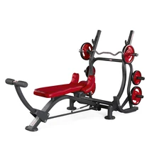 TRICEPS BENCH – TRICEPSZ PAD -Panatta Freeweight Hp