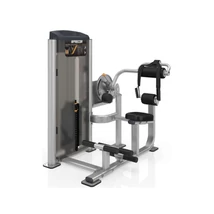 Precor Abdominal / Back Extension Vitality Series - has/mélyhátgép 