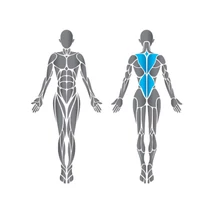 Precor Back Extension Discovery Series - mélyhátgép