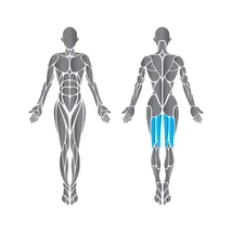 Precor Prone Leg Curl Discovery Series - fekvő lábhajlítógép
