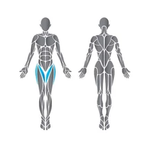 Precor Inner Thigh Discovery Series - lábközelítő gép