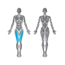 Precor Leg Extension Discovery Series – lapsúlyos  lábnyújtógép