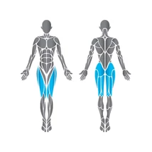 Precor Leg Press Discovery Series – lábtoló gép