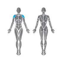 Precor Lateral Raise Discovery Series - oldalemelő vállgép