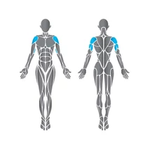 Precor Converging Shoulder Press Discovery Series - vállgép, összetartó mozgás 