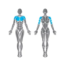 Precor Chest Press Discovery Series – lapsúlyos mellgép