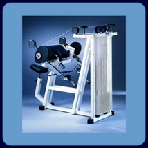 BICEPSZ GÉP - Technogym Isotonic