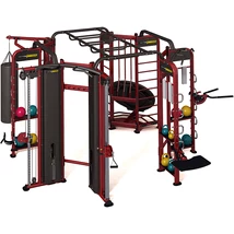 500 - Vector Fitness Funkcionális és crossfit állvány