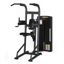 Húzódzkodó / tolódzkodó gép -Vector Fitness Orion