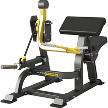 Bicepszgép -Vector Fitness Xtreme