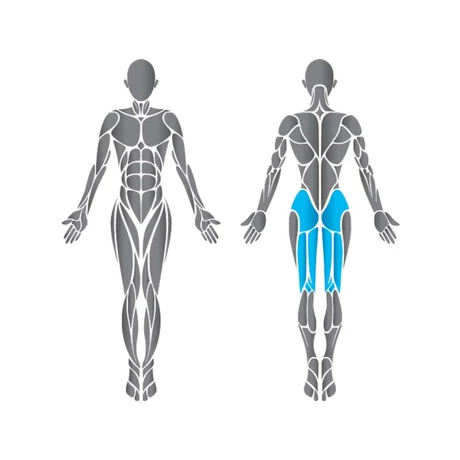 Cybex Glute -Cybex VR3