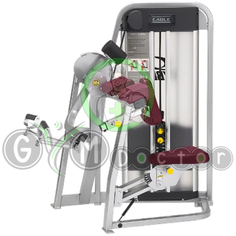 Cybex Bicepsz gép -Cybex Eagle