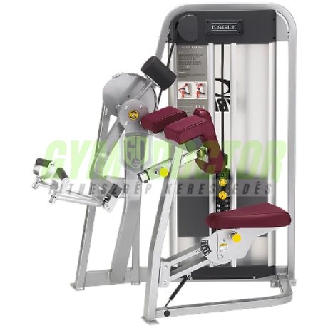 Cybex Bicepsz gép -Cybex Eagle