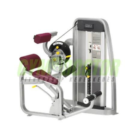 Cybex Mélyhát gép -Cybex Eagle