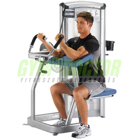 Cybex Arm Curl-Bicepsz gép -Cybex VR3