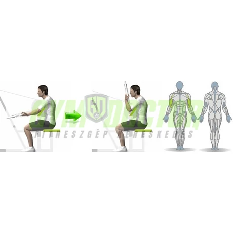 Bicepsz gép - Life Fitness Optima