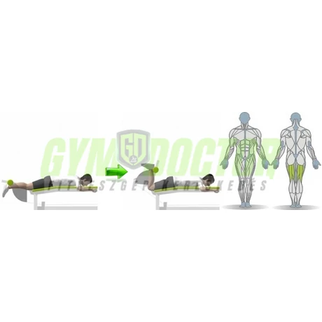 COMBHAJLÍTÓ FEKVŐ GÉP - Life Fitness Optima