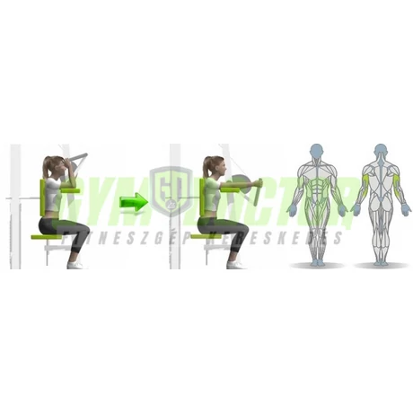 TRICEPSZ GÉP - Life Fitness Optima