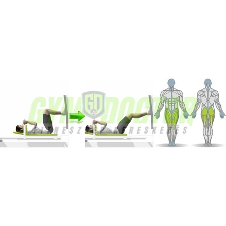 FEKVŐ LÁBTOLÓ GÉP - Life Fitness PRO1