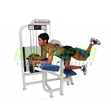 FARIZOM GÉP - Life Fitness PRO1