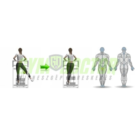 CSÍPŐ – ÉS FARIZOM GÉP - Life Fitness PRO2