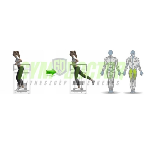 CSÍPŐ – ÉS FARIZOM GÉP - Life Fitness PRO2