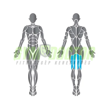 Matrix Prone Leg Curl Aura Series - fekvő lábhajlítógép