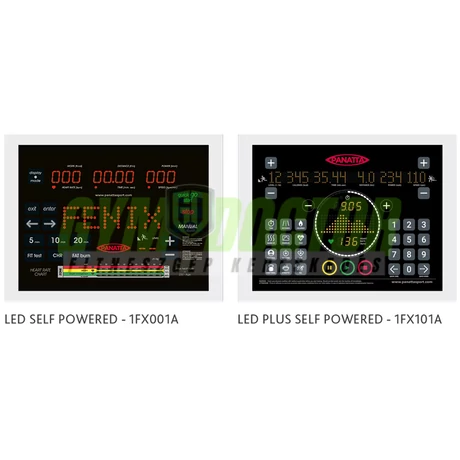 BIKE FENIX LED – SZOBAKERÉKPÁR -Panatta Fenix