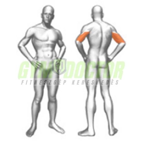 ALTERNATE ARM EXTENSION -Panatta Fitevo