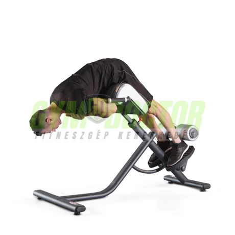 IPEREXTENSION 45° BENCH -Panatta Fitevo