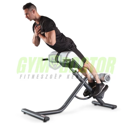 IPEREXTENSION 45° BENCH -Panatta Fitevo