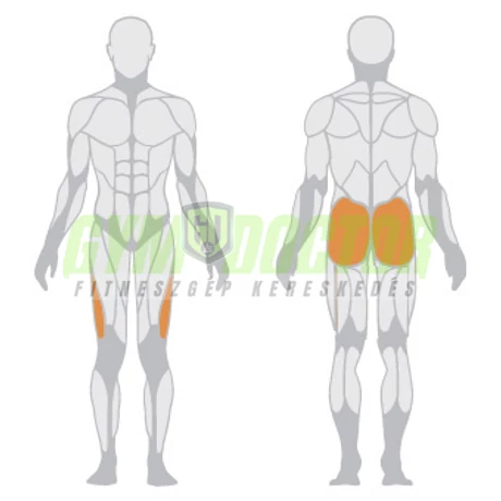 ADDUCTOR/ABDUCTOR MACHINE – COMBKÖZELÍTŐ/COMBTÁVOLÍTÓ GÉP -Panatta Fitevo