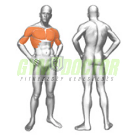 PECTORAL MACHINE/BASE – MELLPRÉS GÉP -Panatta Fitevo