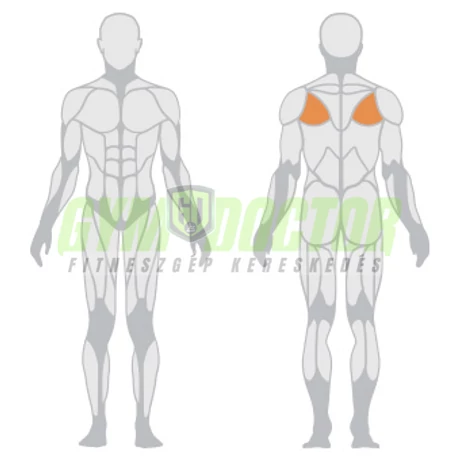 ROTARY CUFF -Panatta Fitevo