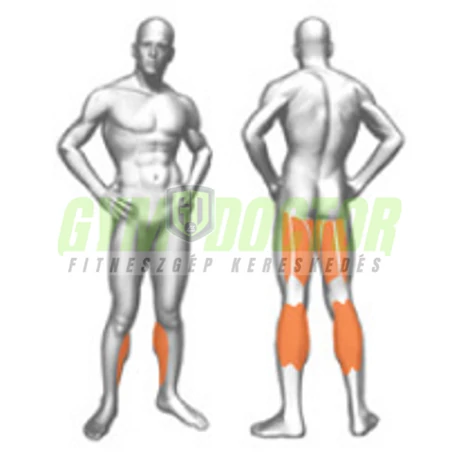 SEATED LEG CURLING – ÜLŐ COMBHAJLÍTÓ -Panatta Fitevo