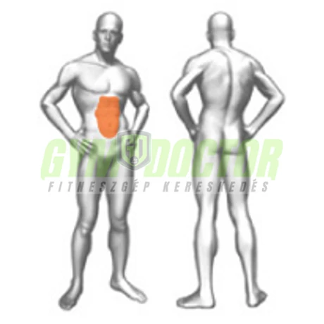 SIT UP BOARD – HASPAD -Panatta Fitevo