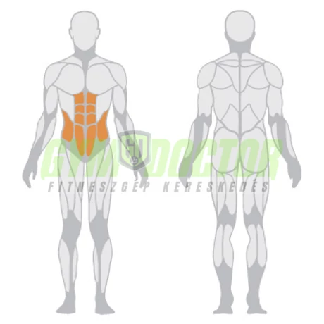 TORSION MACHINE – TÖRZSFORDÍTÓ GÉP -Panatta Fitevo