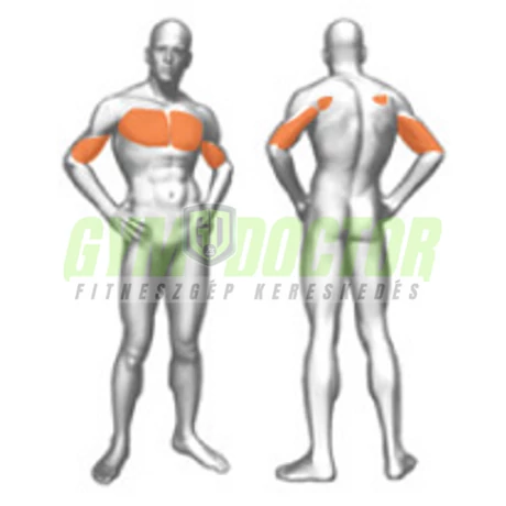 VERTICAL CHEST PRESS/BASE – MELLNYOMÓ GÉP -Panatta Fitevo