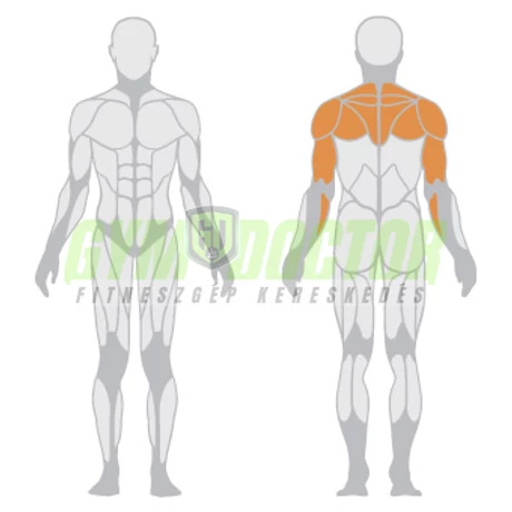 BACK DELTOIDS – HÁTSÓ VÁLL GÉP -Panatta Freeweight Hp