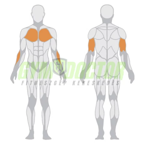 DIPS PRESS DUAL SYSTEM – TOLÓDZKODÓ GÉP -Panatta Freeweight Hp